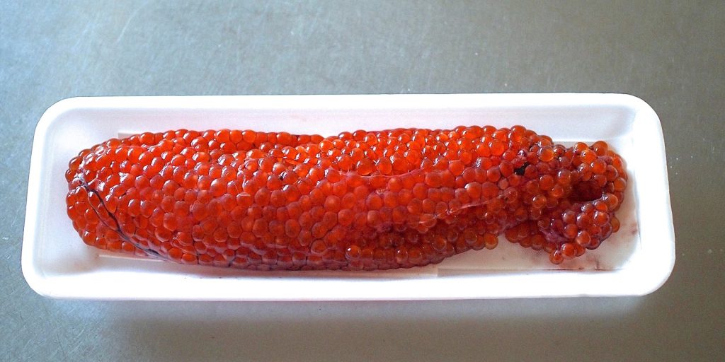 ikura recipe