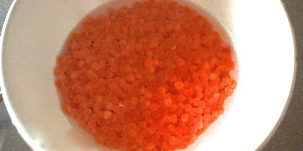 Ikura Recipe
