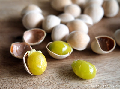 Ginnan: Ginkgo Nuts